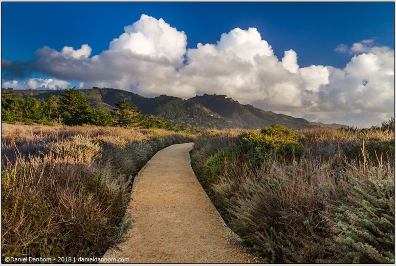 Pt.-Lobos-Pathway.jpg